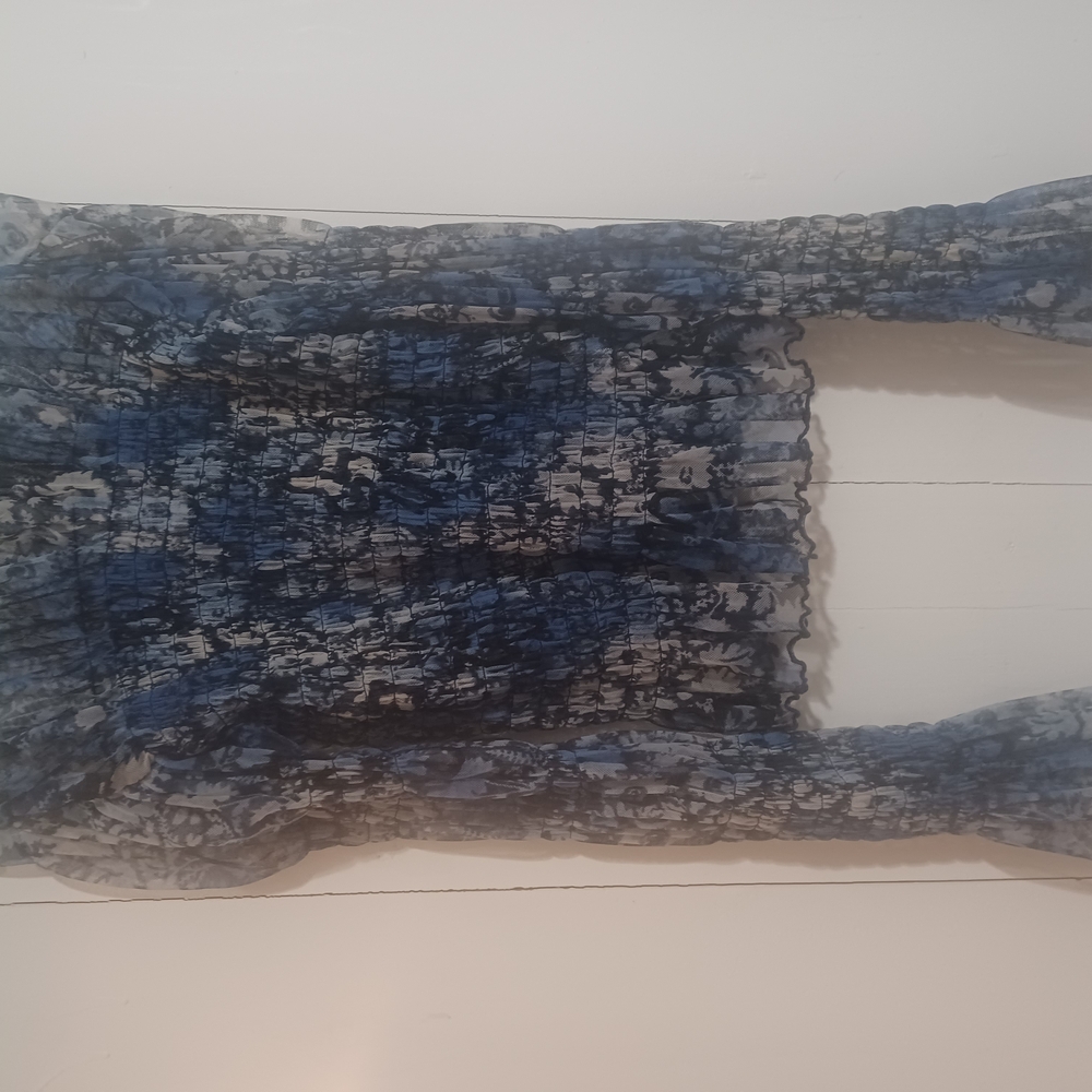 Sheer Blue and Black Long Sleeve Top